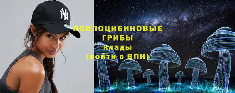 omg как зайти  Бикин  Галлюциногенные грибы Magic Shrooms 